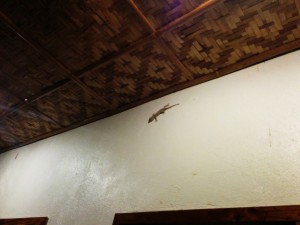 IMG_20140421_215946