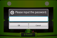 Password input